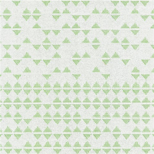 1107 - Icon White Green